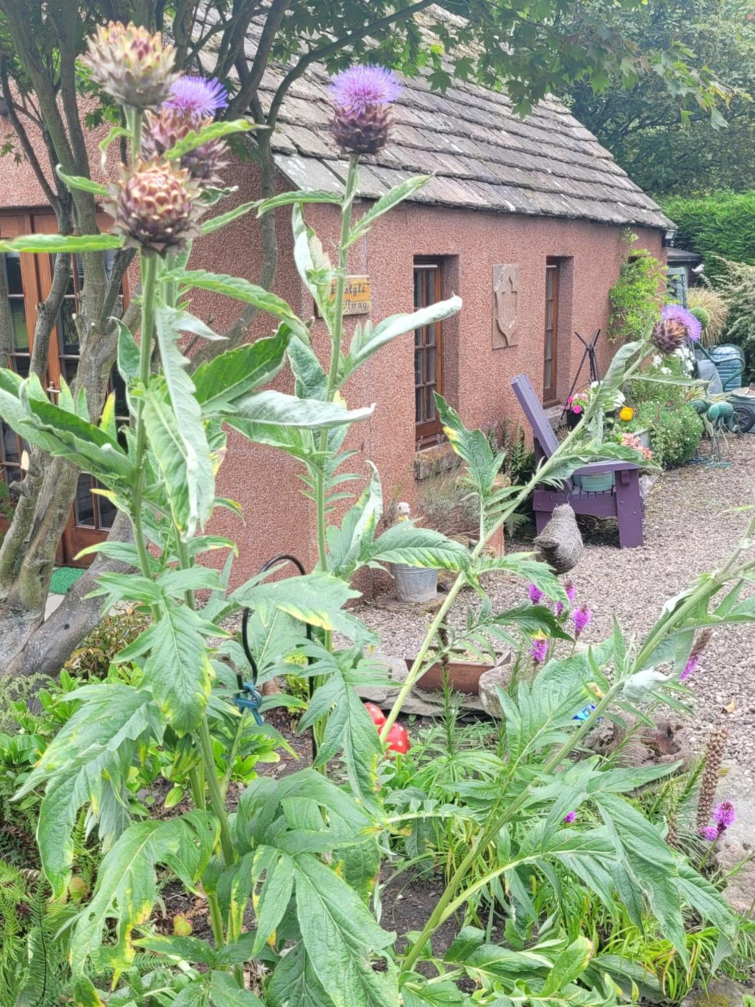 Kirkstyle Hideaway Bed and Breakfast Arbroath Εξωτερικό φωτογραφία